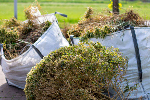 Best Carpet Removal and Disposal  in Montevlo, AL